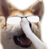 DEN_DogeSmart