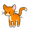 TFB_orangecat