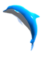 CSF_Dolphin