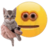 5522takecat