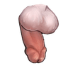 littledick