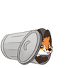 trash