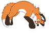 pounce