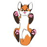 paws