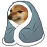 dog_blanky