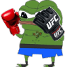 pepe_mma_ufc