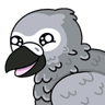 graybirb