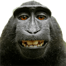 monkesmile