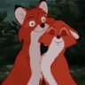 SnugglingFoxes