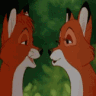 NuzzleFox