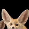 FennecEars