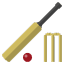 cricket1