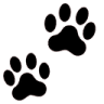 blackpaws