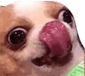 annaburns2