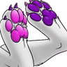 DEN_Pawbs9