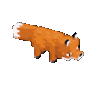 torpedofox