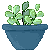 Ace_Potted_plant