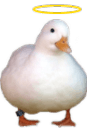 holyduck