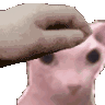 goodcatto