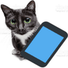 phonecat