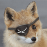 FoxPirate