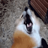 ticklish