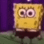 spongetwerk