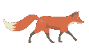 foxwalk