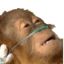 emoji_225