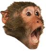 emoji_227