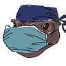 dr