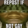 Gayrepost