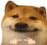 dogeshy