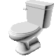 PolishToilet