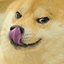 dogelicky