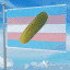 pickleflag