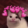 lovecat