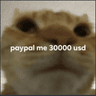 PayPalMe3kusd