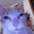 seethe