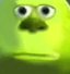 4349mikewazowskistraightface