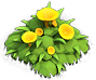 emoji_145