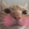 emoji_48