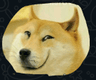 dogesmile