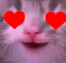 happycathearts