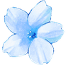 BlueFlower