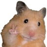 hamsterpeace