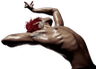 eccoPose