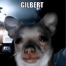 Gilbert