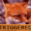 FoxTriggered