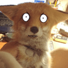 FoxWhat